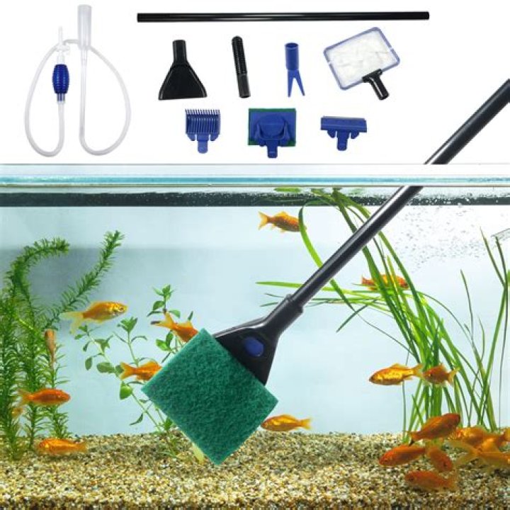 How much should I charge for cleaning a fish tank?