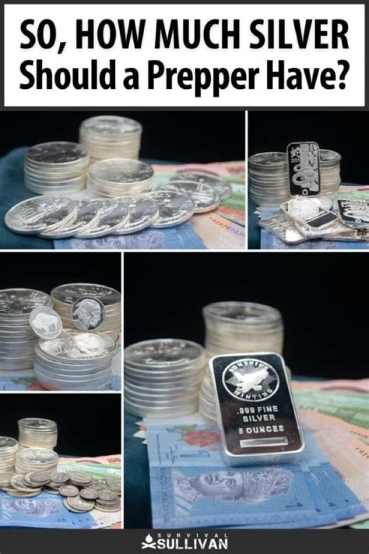 How much silver should a prepper have?