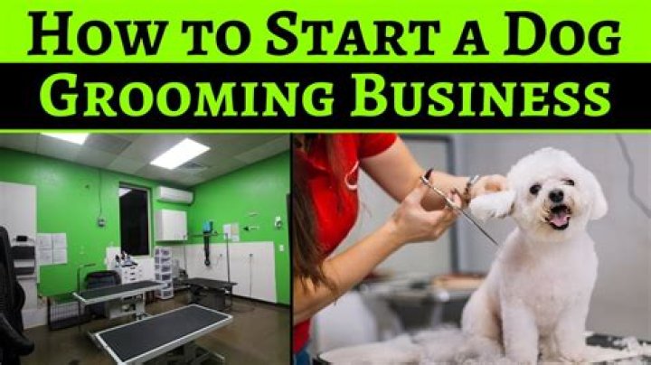 How much would it cost to start a pet grooming business?
