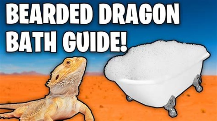 How often should I bathe my bearded dragon?