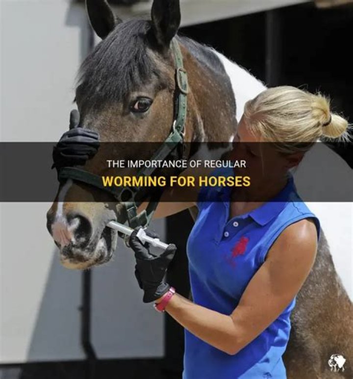 How often should you worm a horse?