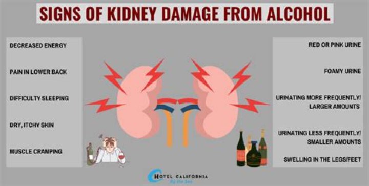 How quickly can kidneys recover?