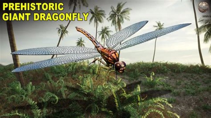 Is a dragonfly a dinosaur?