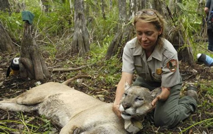 Is a Wildlife Biologist a good career?