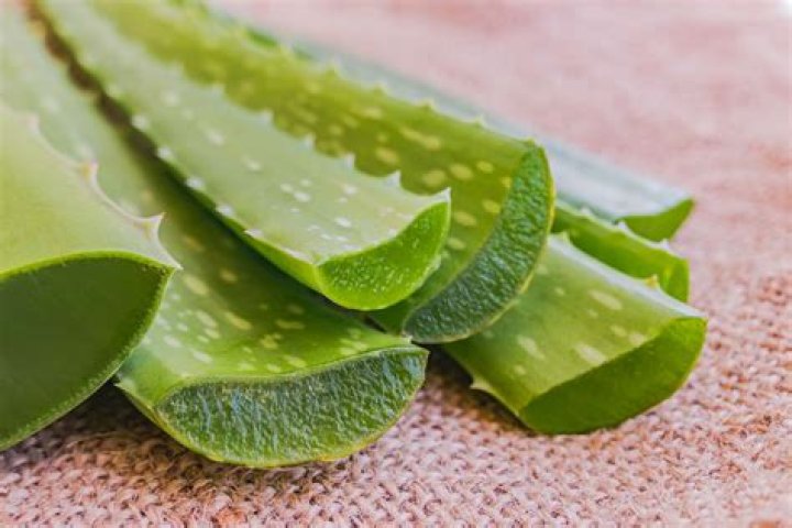 Is Aloe Vera good for melasma?