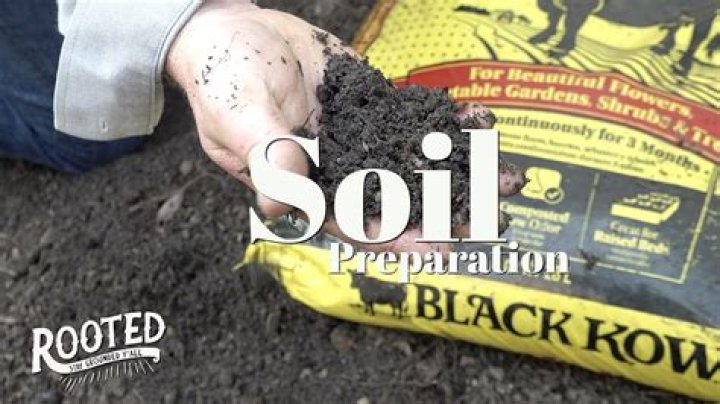Is black soil good for lawns?