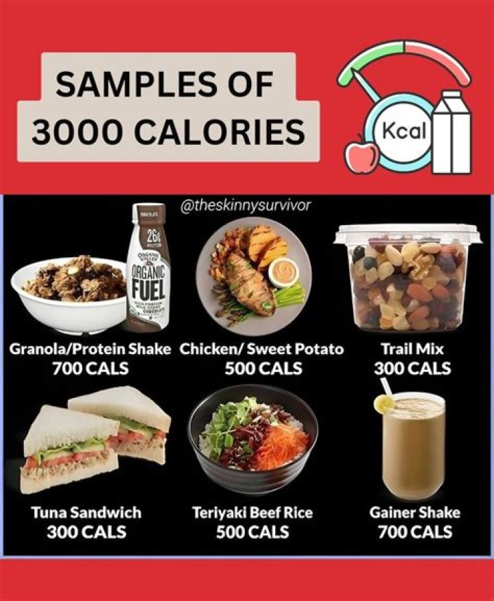Is burning 3000 calories a day too much?