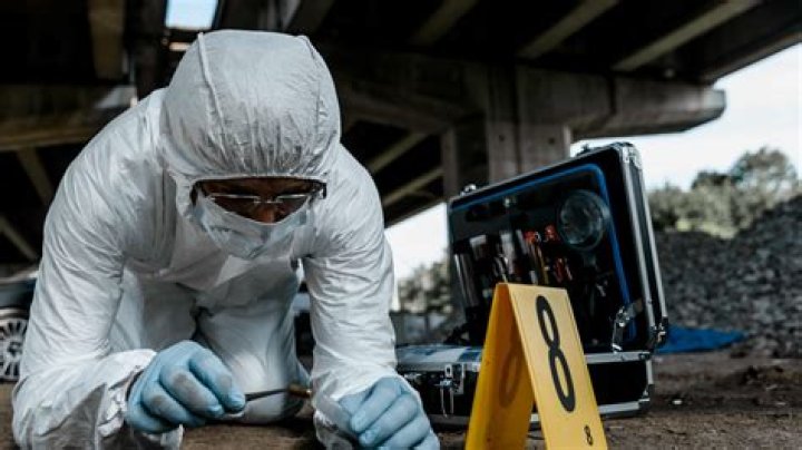 Is forensic engineering a good career?