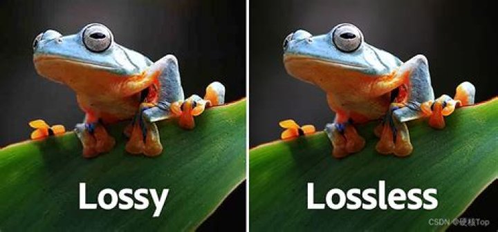 Is H 264 lossy or lossless?