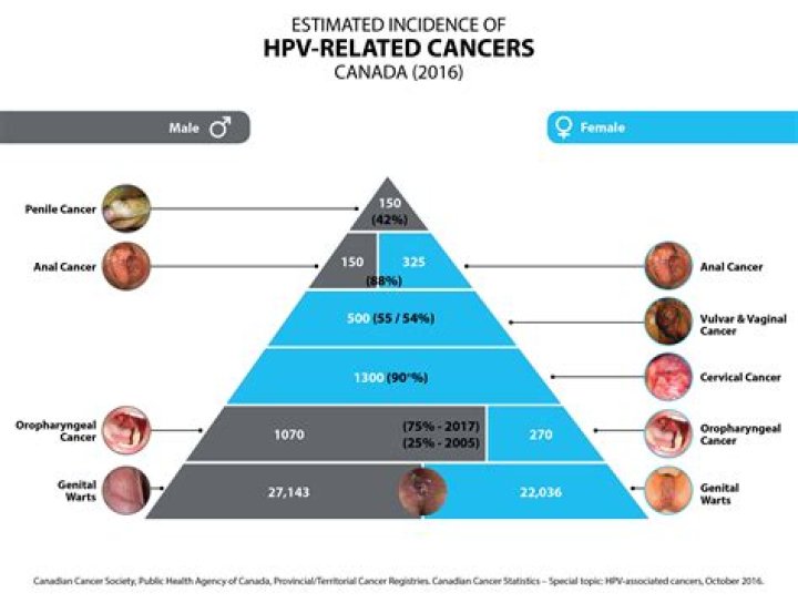 Is HPV 53 high risk?