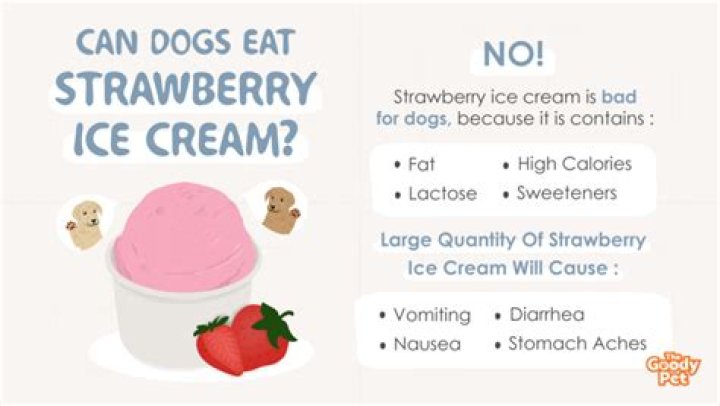 Is ice cream bad for dogs?