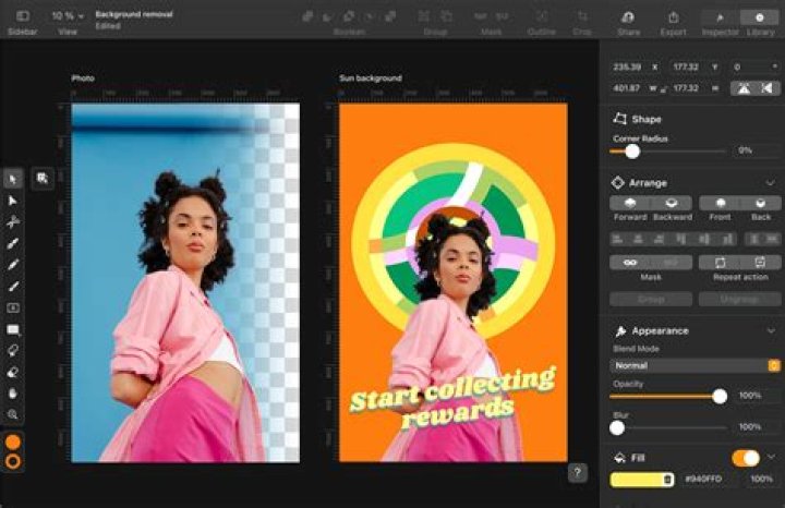 Is Illustrator a software?