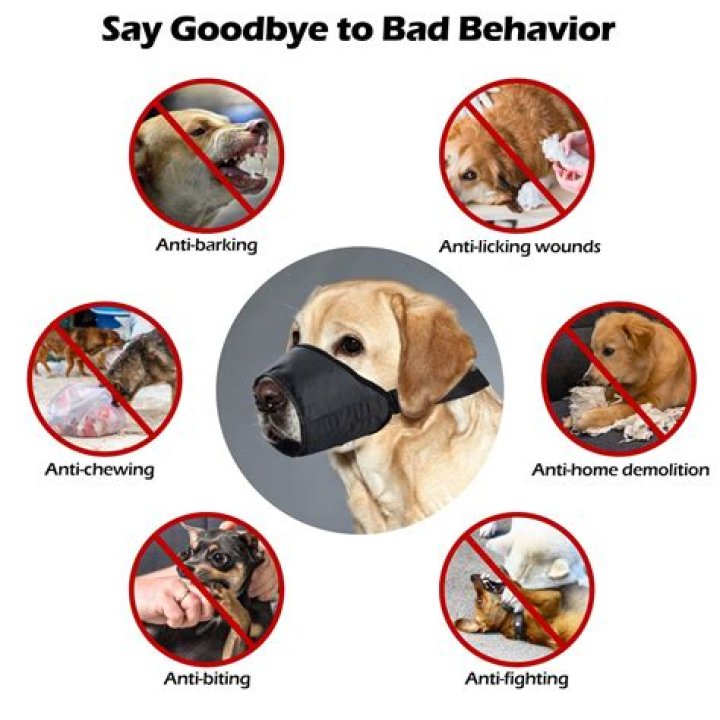 Is it cruel to muzzle a dog to stop barking?