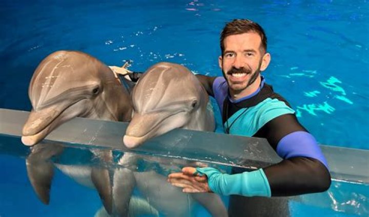 Is it hard to be a dolphin trainer?