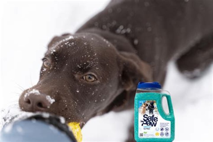 Is rock salt safe for dogs?