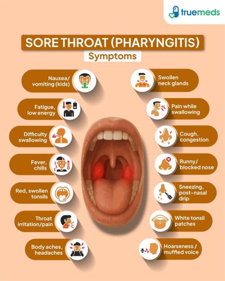 Is sore throat is a symptom of dengue?