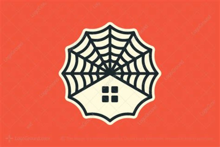 Is spider web good for house?