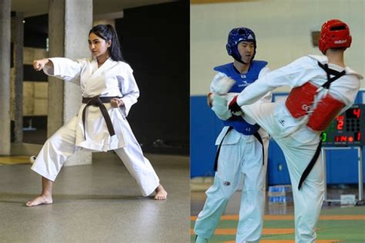 Is Taekwondo harder than karate?