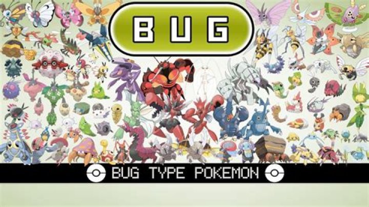 Is there a Bug dragon type Pokémon?