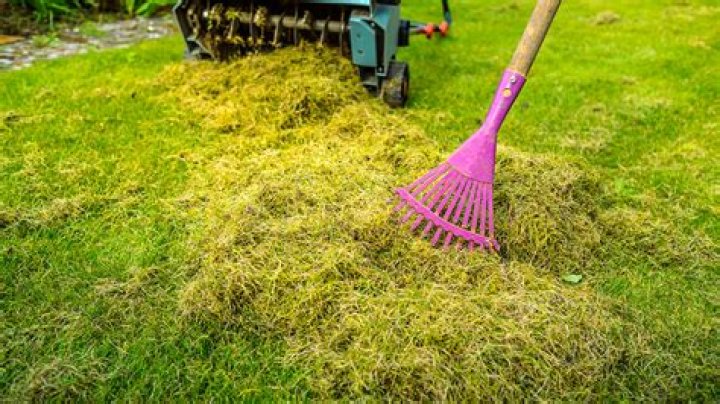 Is Verticutting the same as dethatching?