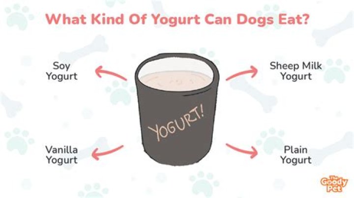 Is yogurt OK for a dog?