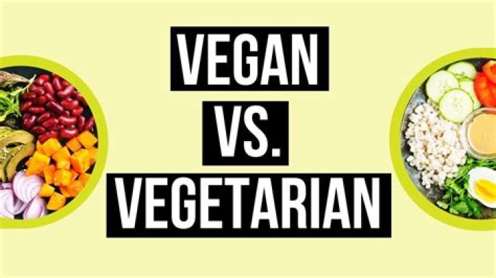 Should humans be vegan?