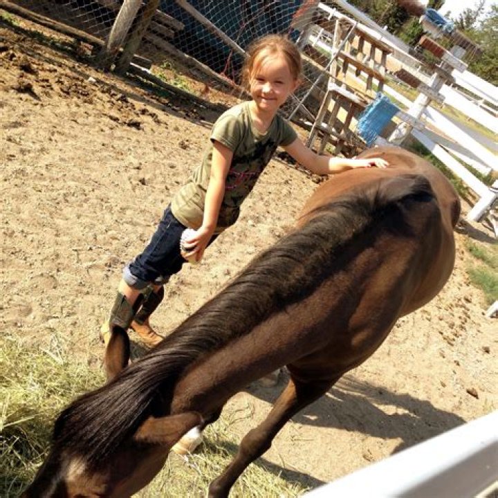 Should I get my kid a pet?