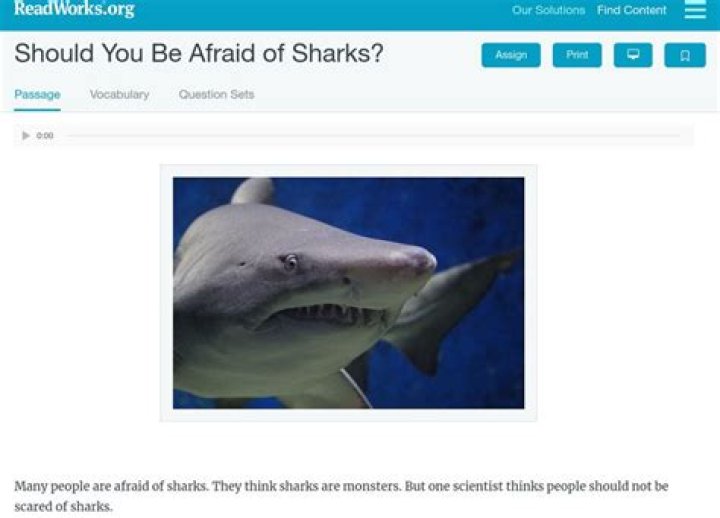 Should you be afraid of sharks?