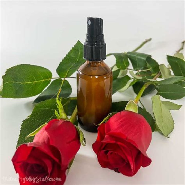 Should you mist roses?