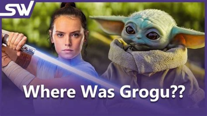 Was that Luke Skywalker who took Grogu?