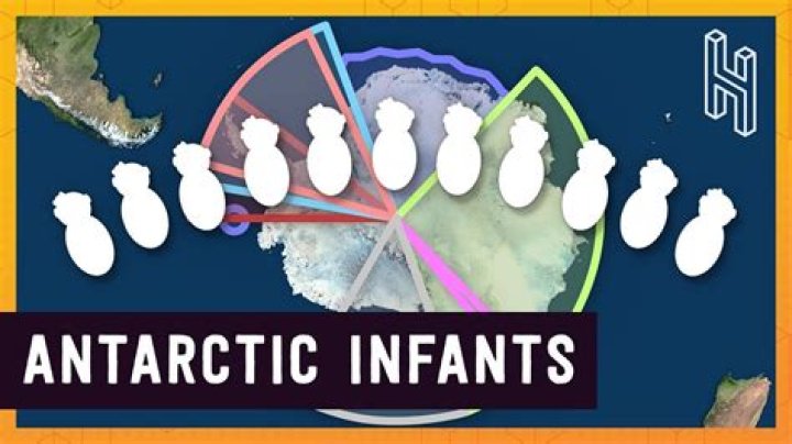 Was there babies born in Antarctica?