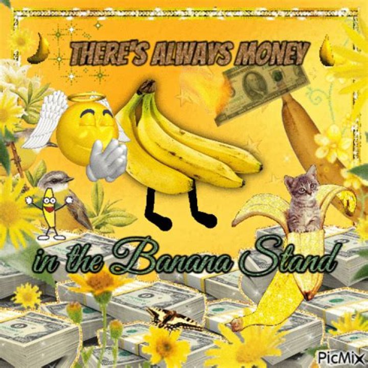 Was there money in the banana stand?