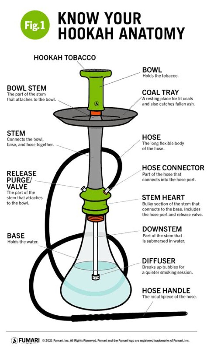 What age can you go to shisha?