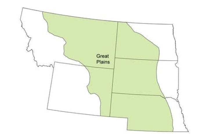 What are 2 plains?
