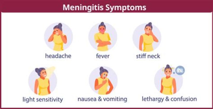 What are 6 symptoms of meningitis?
