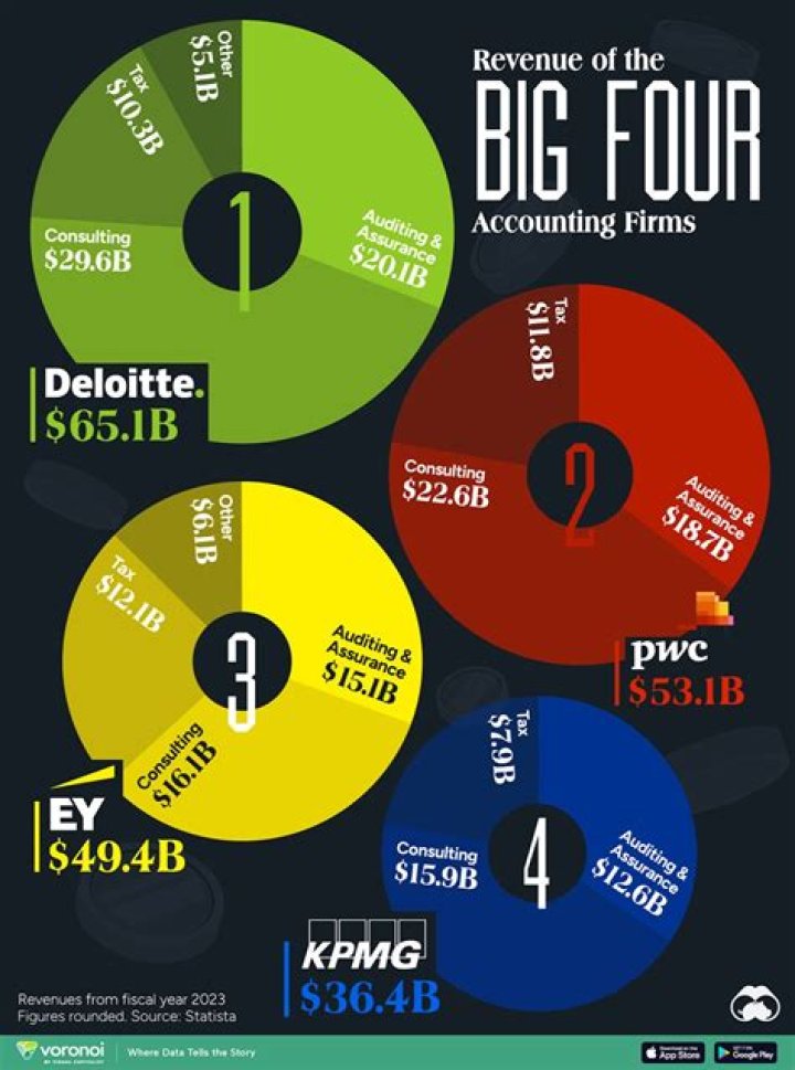What are Big 4 firms?