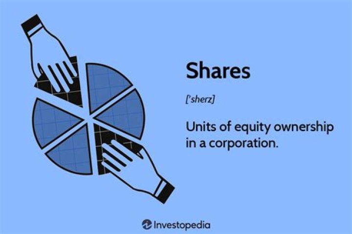 What are company shares?