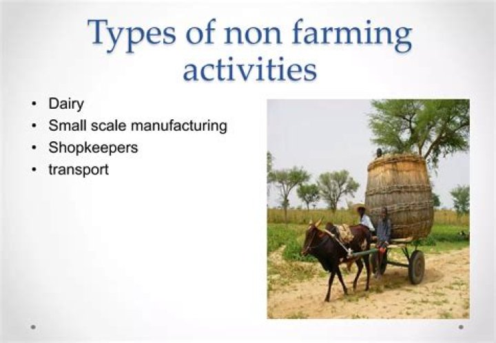 What are examples of non farming activities?