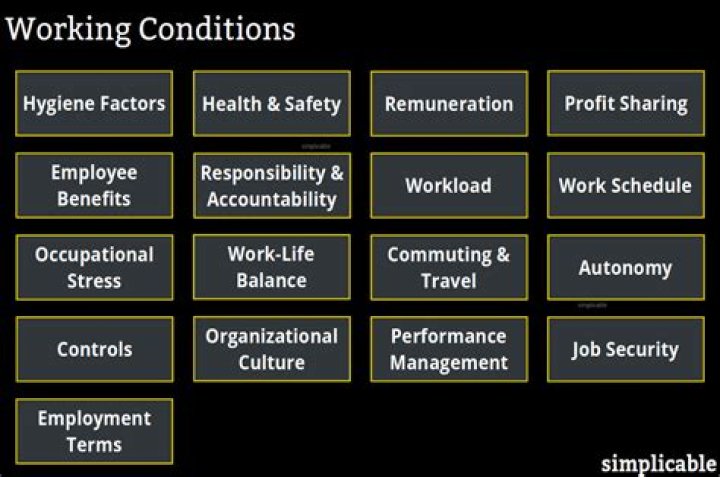 What are lawyers working conditions?