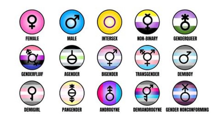 What are the 4 genders?