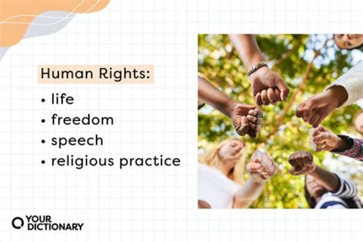 What are the 5 basic human rights?