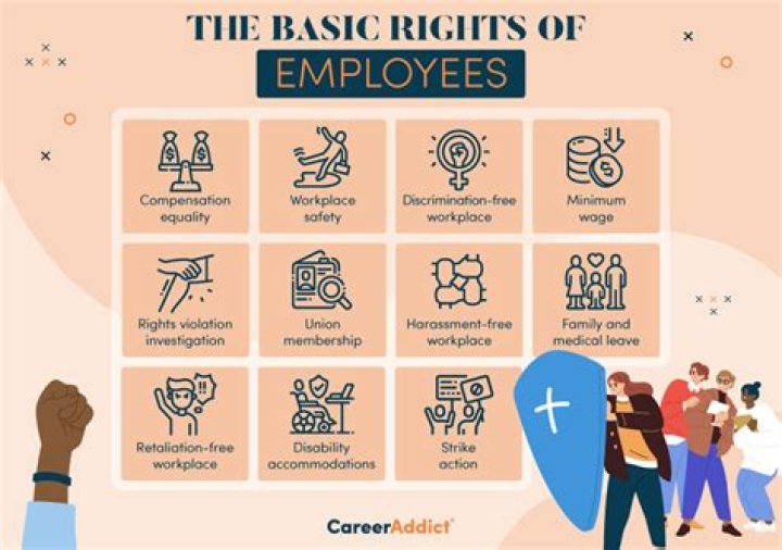 What are the basic employee rights and responsibilities?