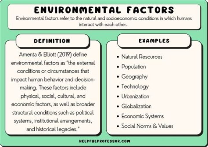 What are the demographic environmental factors?