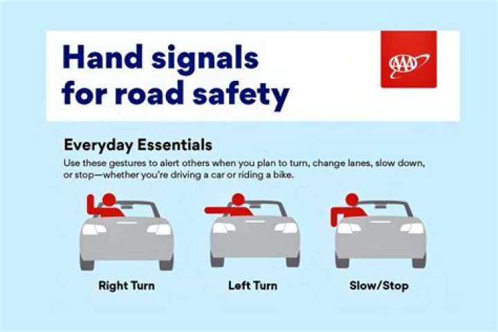 What are the different arm signals for driving?