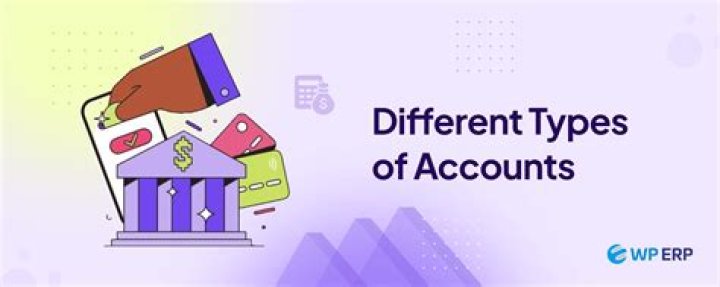 What are the different types of accounts explain?