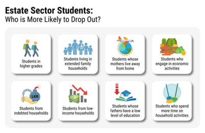 What are the effects of school dropouts?