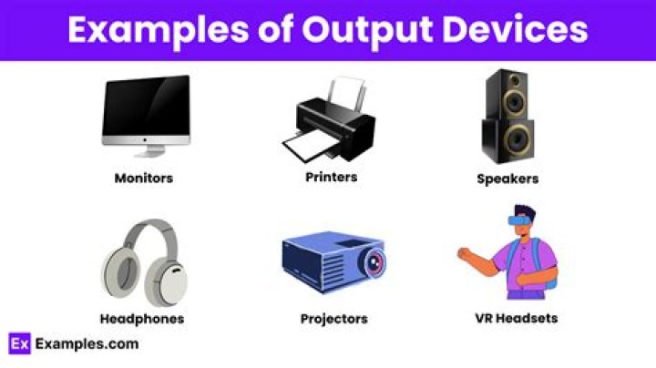 What are the examples of output unit?