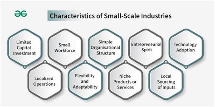 What are the features of small scale enterprises?