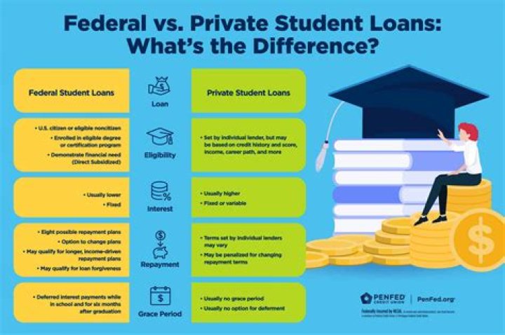 What are the four main categories of higher education student loans?