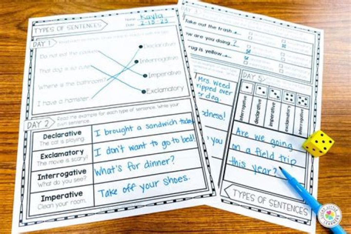 What are the four types of novel?